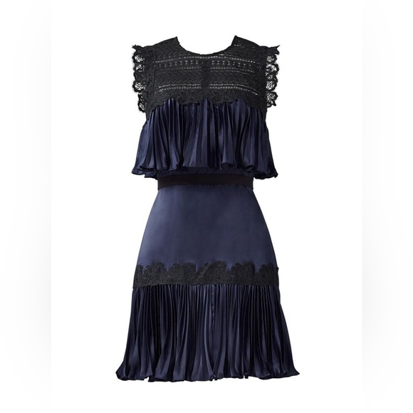 Amur Pippa Dress Navy Blue and Black - Picture 3 of 5
